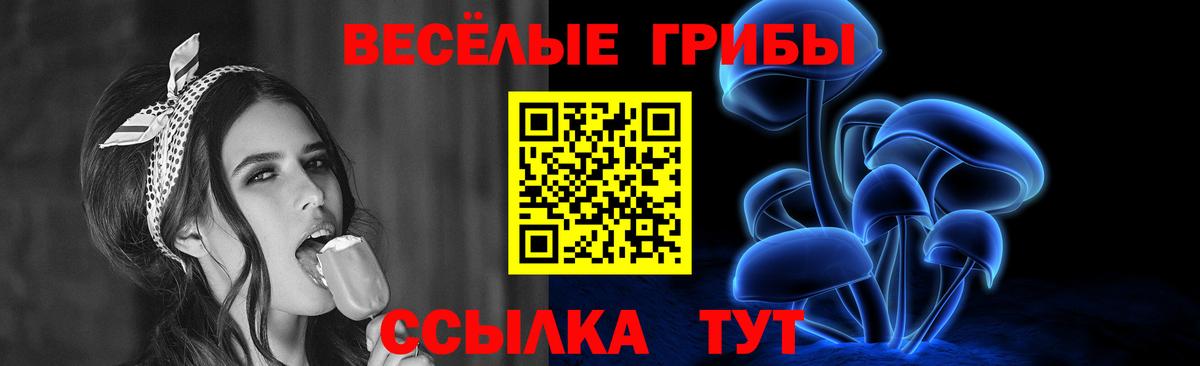 Галлюциногенные грибы Psilocybe  Вход с VPN  Зерноград 